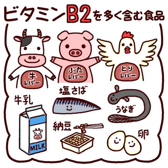 ビタミンB2.jpg